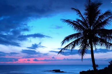 Blue Sunset Wallpapers