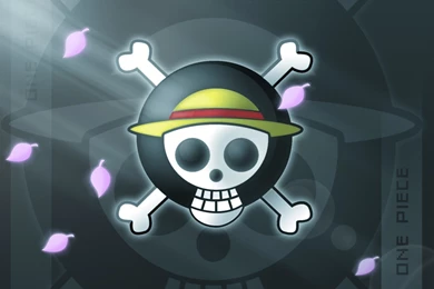 681 One Piece HD Wallpapers