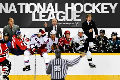 Houses Of The Hockey