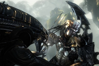 Wallpapers Alien Vs Predator Video Game And 1920x1080
