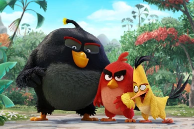 Angry Bird Is Not Just A Mobile Game, Angry Birds Movie Trailer Is ...