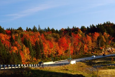 Religious Wallpapers Free Downloads *Radical Pagan Philosopher ...