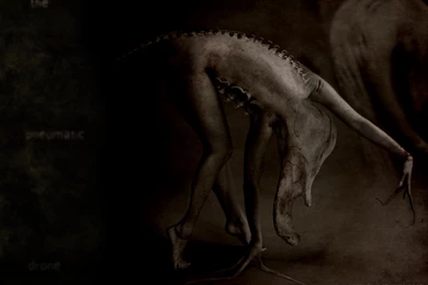 DeviantArt: More Like 'The Tooth Fairy' Wallpapers By Scarypaper