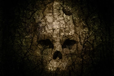 DeviantArt: More Like Jordana Brewster Wallpapers By Davepl