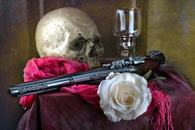 Macabre Still Life   (