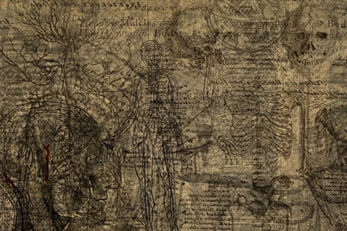 DeviantArt: More Like Aotp Wallpapers By Sexualtyranosaurus