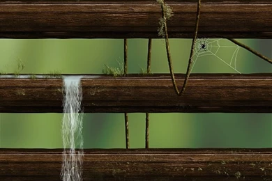 30 iPhone 5 Shelves Wallpapers