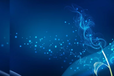 High Quality HD Wallpapers Free Download