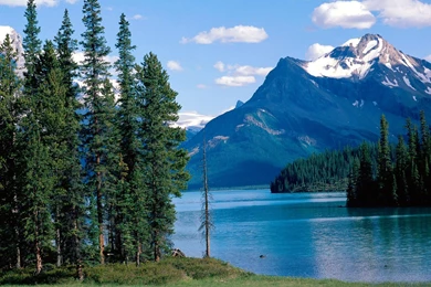 Download wallpapers of nature beauty 16.jpg