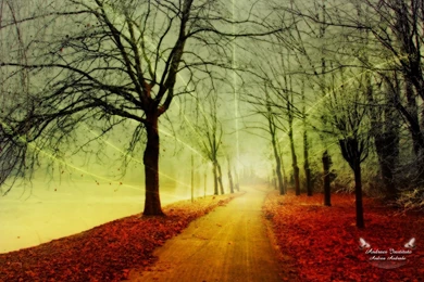 Natural Beauty Wallpapers   Wallpapers Cave