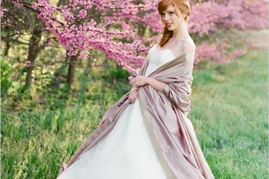 Wallpapers Nature Beauty Pink