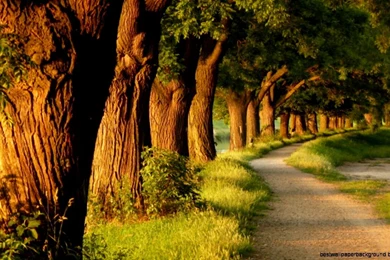 Beautiful Nature Pictures Facebook