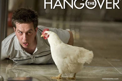 The Hangover Movie Wallpapers