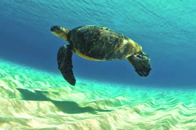 ClarkLittle Photography!   YouTube