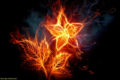 Flame Wallpapers Wallpapers Cave