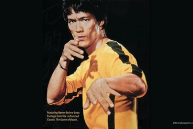 Wallpapers Bruce Lee Gallery 1920x1200