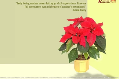 Love Quotation Wallpapers, Famous Quotes Wallapaper, Wallpapers Of ...