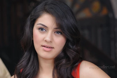 Hansika Hot Hd Wallpapers