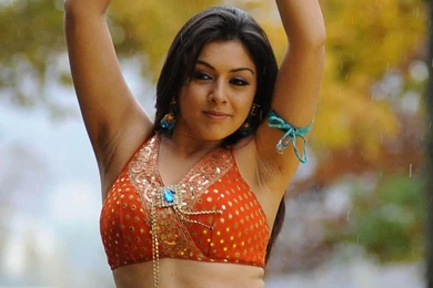 Hansika Motawani Hot HD Wallpapers