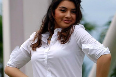 Hansika Motwani HD Wallpapers Collections – HD And 4K Wallpapers ...