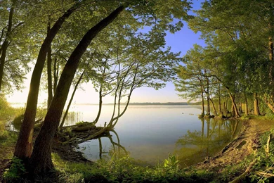 Beautiful Hd Wallpapers