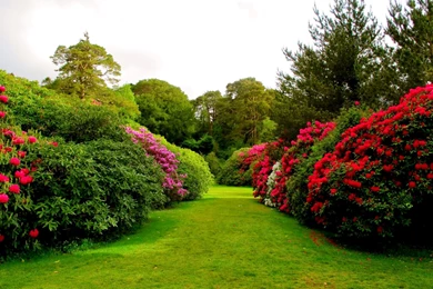 Beautiful HD Wallpapers : Nature Wallpapers HD Best Beautiful Mix