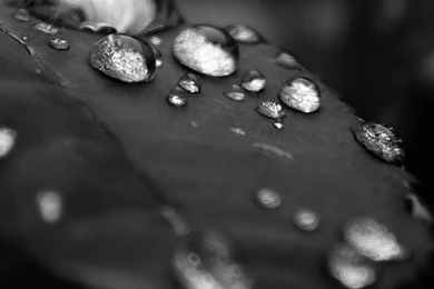 Blackberry Z10 HD Wallpapers   HD Wallpaper Backgrounds Of Your ...