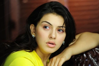 Hansika Motwani HD Wallpapers Free Download