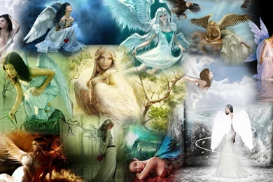 Angels Fairies Wallpaper,wish HD Wallpaper,believe HD Wallpapers ...