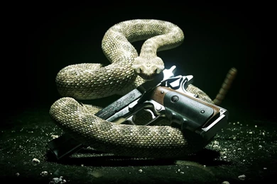 Hitman Snake And The Gun Desktop Backgrounds HD 1920x1080