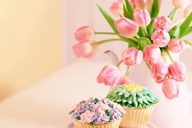 Still Life Wallpaper Backgrounds