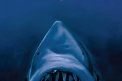 Samsung Galaxy S3 Wallpapers