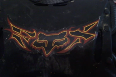 Fox Logos Pictures Dowload 3d Hd Pictures.