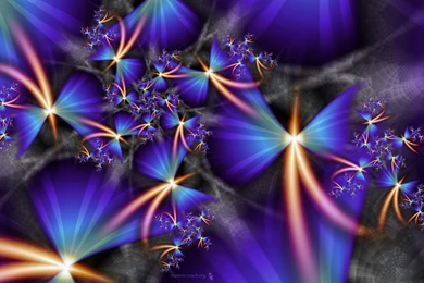 Birds Of Paradise Cartoon Movie