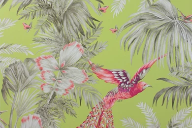 Bird Of Paradise Wallpapers By Matthew Williamson