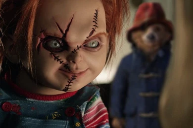 Paddington Movie 2014 Wallpapers