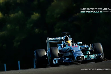 Mercedes AMG Petronas W05 2014 F1 Wallpapers