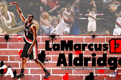 LaMarcus Aldridge   Streetball