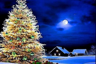 Nice Mobile Wallpapers   Widescreen HD Wallpapers