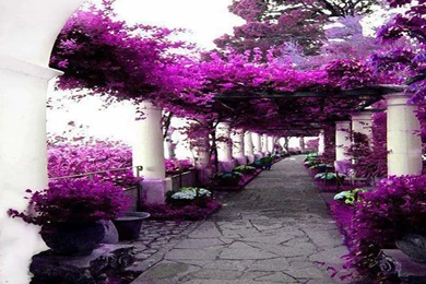 Nice Wallpapers Wallpapers 39KR   WALLEO.CO   WALLEO.CO