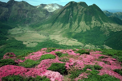 Nice Wallpapers Free Download   All Wallpapers New