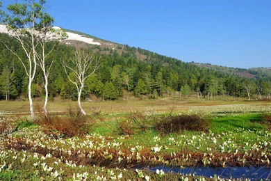 Most Beautiful Wallpapers In The World Nature Wallpapers ...