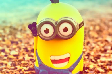 Minions Live Wallpapers For Android Tablet