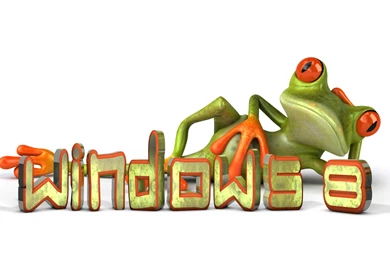 Windows 8 Green Frog Wallpapers