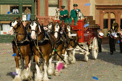 Budweiser Super Bowl Commercials