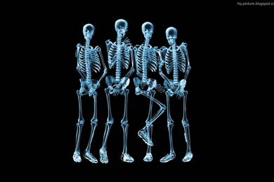 Unique Wallpapers HQ Collection