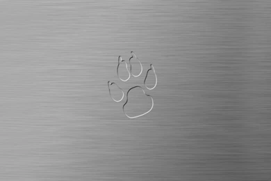 Cougar Steel Push Art Wallpapers