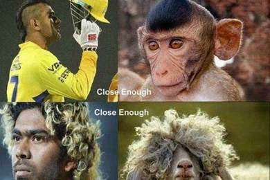 Awesome Very Funny Wallpapers Free Download