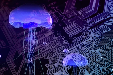 Electric Jellyfish Wallpapers Paper Wall HD