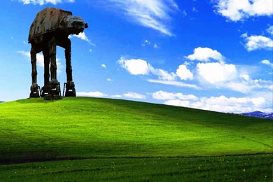 Bliss Wallpapers [8]   (